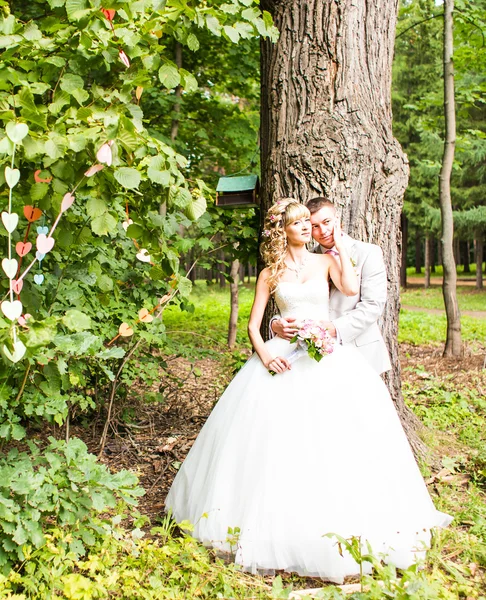 夏の公園で外ロマンチックな瞬間を楽しむ若い結婚式のカップル — ストック写真