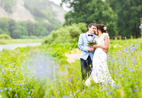 Bruiloft paar knuffelen en zoenen — Stockfoto