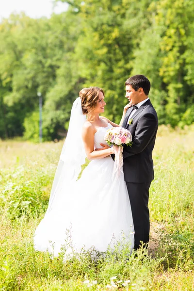 Joven pareja de boda disfrutando de momentos románticos fuera en un prado de verano —  Fotos de Stock