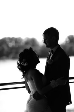 siluet arka plan Doğa severler hugs