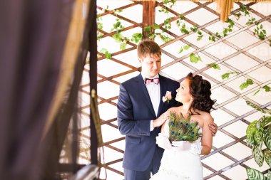 sarılma, hayranı tavus kuşu tüyleri, onu kucaklayan damat tutarak gelin düğün çifti