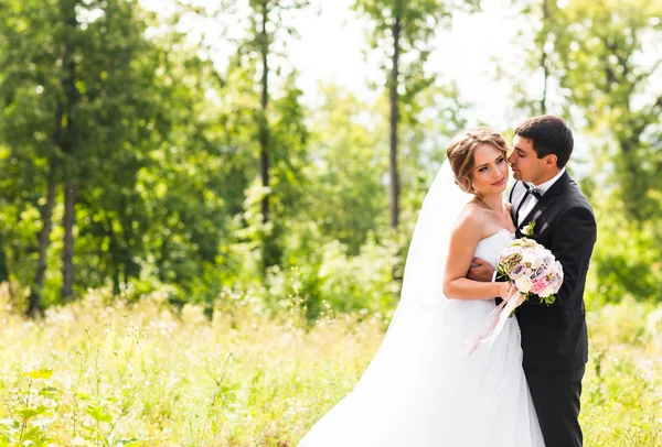 Joven pareja de boda disfrutando de momentos románticos fuera en un prado de verano — Foto de Stock