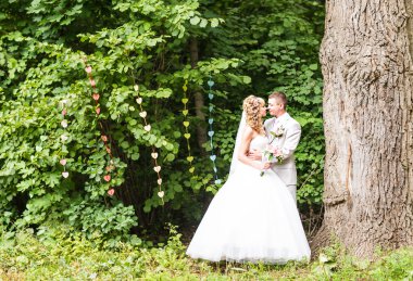 Bir yaz parkın dışında romantik anları zevk genç Düğün çifti