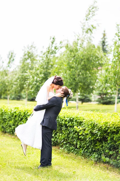 Glücklicher Bräutigam hält junge schöne Braut in seinen Armen — Stockfoto