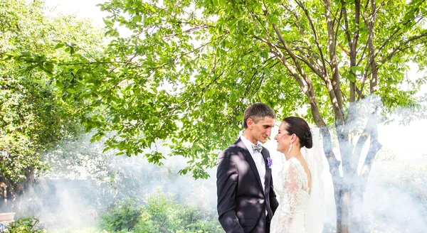 霧の庭園の背景にキス結婚式のカップル. — ストック写真