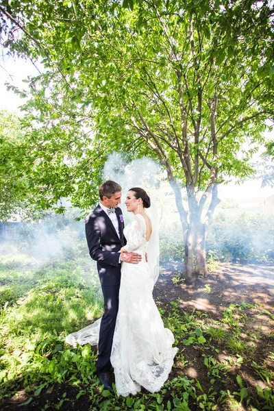 Casamento casal beijando contra o pano de fundo de um jardim enevoado . — Fotografia de Stock