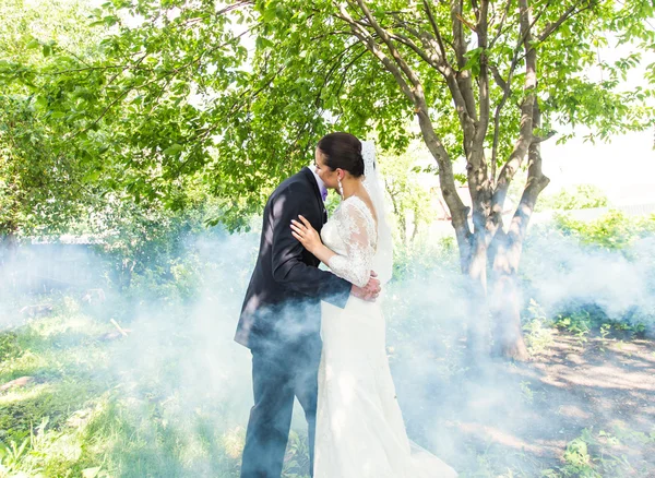 Para ślub całowanie na tle mglistych garden. — Zdjęcie stockowe