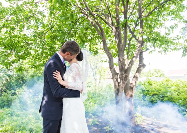 Para ślub całowanie na tle mglistych garden. — Zdjęcie stockowe