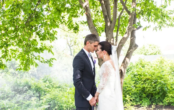 Mariage couple baisers dans le contexte d'un jardin brumeux . — Photo