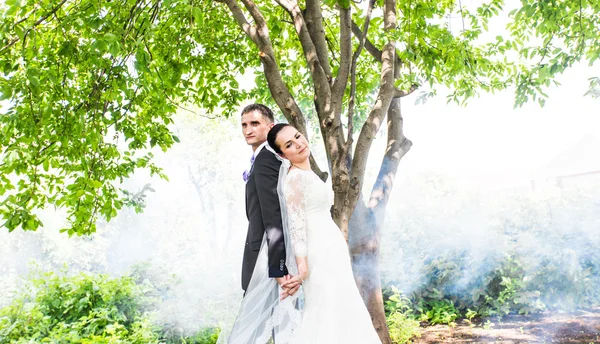 Casamento casal beijando contra o pano de fundo de um jardim enevoado . — Fotografia de Stock