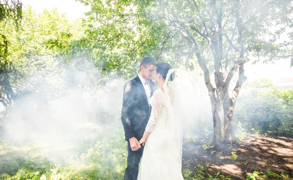 Casamento casal beijando contra o pano de fundo de um jardim enevoado . — Fotografia de Stock