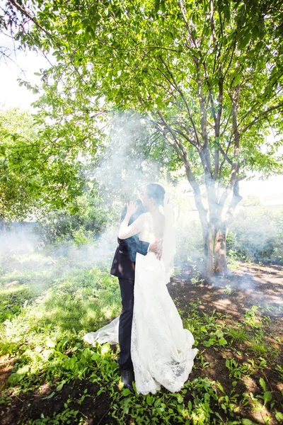 Casamento casal beijando contra o pano de fundo de um jardim enevoado . — Fotografia de Stock