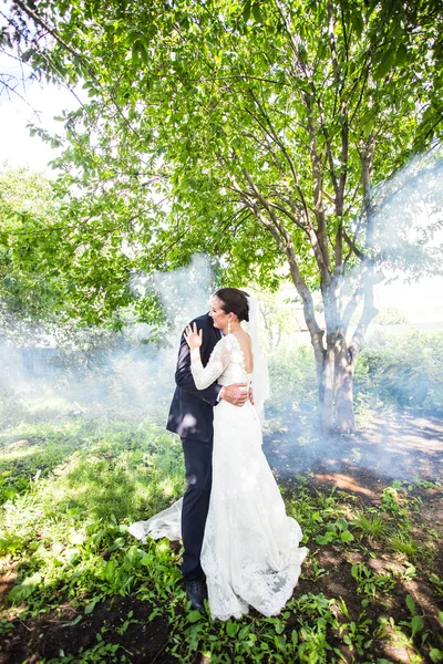 Casamento casal contra o pano de fundo de um jardim enevoado . — Fotografia de Stock