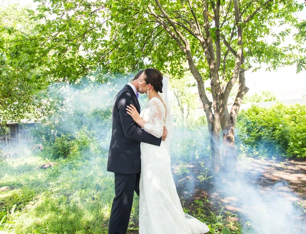 Pareja de boda besándose contra el telón de fondo de un jardín brumoso . —  Fotos de Stock