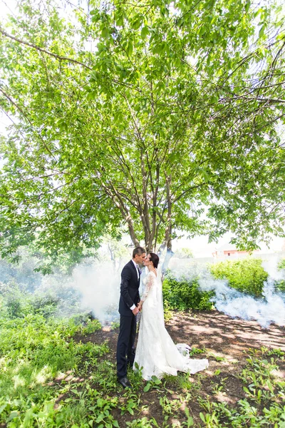 Casamento casal contra o pano de fundo de um jardim enevoado . — Fotografia de Stock