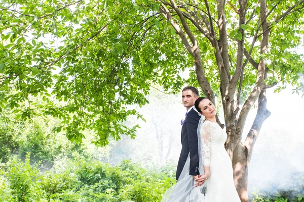 Couple de mariage dans le contexte d'un jardin brumeux . — Photo