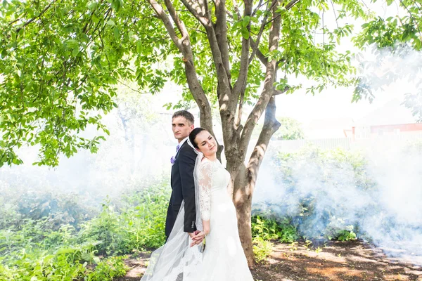 Весільна пара на тлі туманного саду . — стокове фото