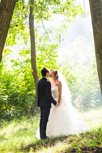 Нареченої і нареченого на весілля день ходити на відкритому повітрі на навесні природи. — стокове фото