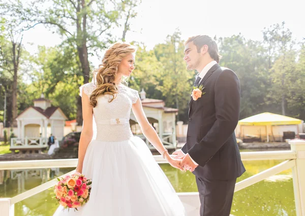 Beautiful wedding couple in park. — Stock Photo, Image