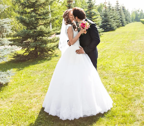 Gyönyörű esküvői pár a parkban. csók, és ölelni egymást — Stock Fotó