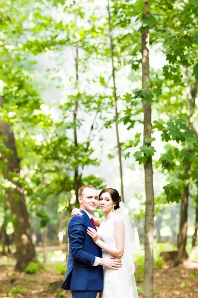 公園内の美しい結婚式のカップル。彼らはキスし、お互いをハグ — ストック写真