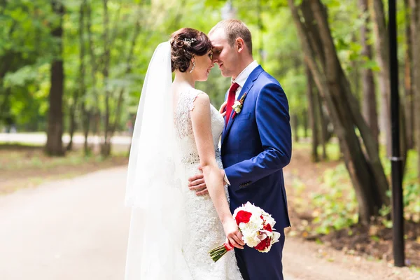 Beau couple de mariage dans le parc. Ils s'embrassent et s'embrassent — Photo