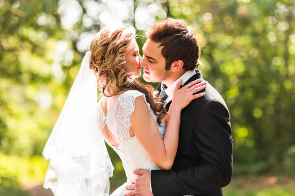 Schönes Hochzeitspaar im Park. sie küssen und umarmen sich — Stockfoto