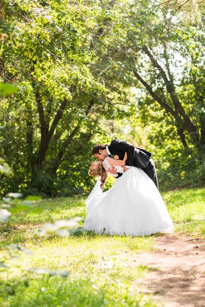 Прекрасная свадебная пара в парке. Они целуются и обнимаются. — стоковое фото