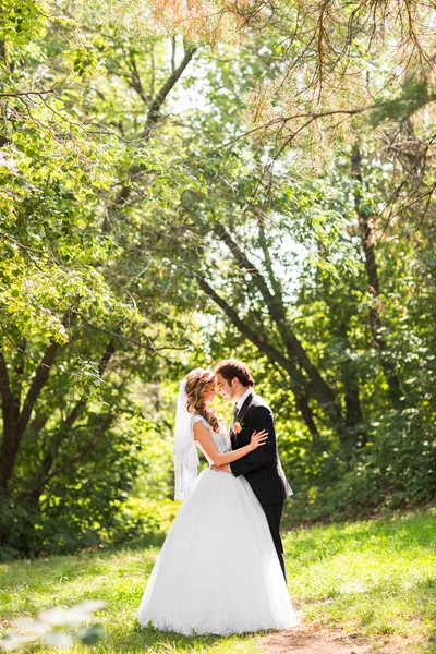 Όμορφο γαμήλιο ζεύγος στο πάρκο. αυτοί φιλί και αγκαλιά ένας τον άλλον — Φωτογραφία Αρχείου