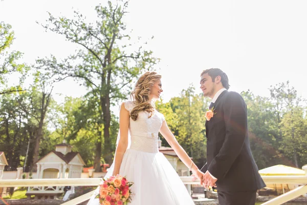 Belo casal de casamento no parque. — Fotografia de Stock