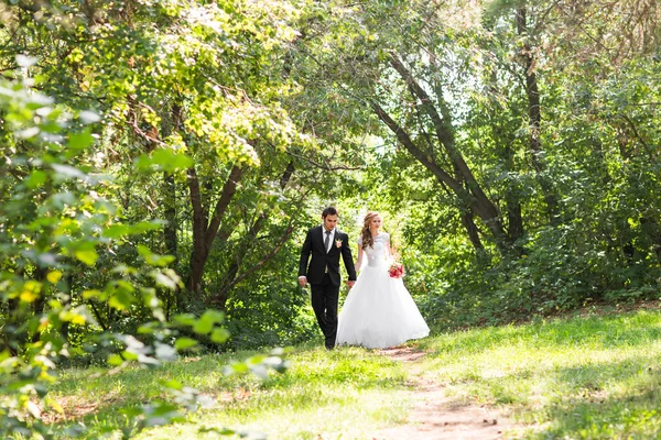 Pareja romántica boda divertirse juntos al aire libre en la naturaleza —  Fotos de Stock