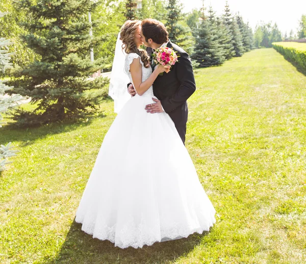 Όμορφο γαμήλιο ζεύγος στο πάρκο. αυτοί φιλί και αγκαλιά ένας τον άλλον — Φωτογραφία Αρχείου