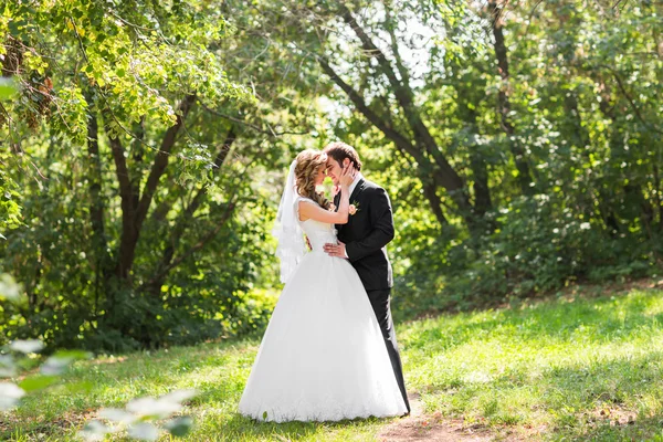 Novia y novio teniendo un momento romántico en el día de su boda — Foto de Stock