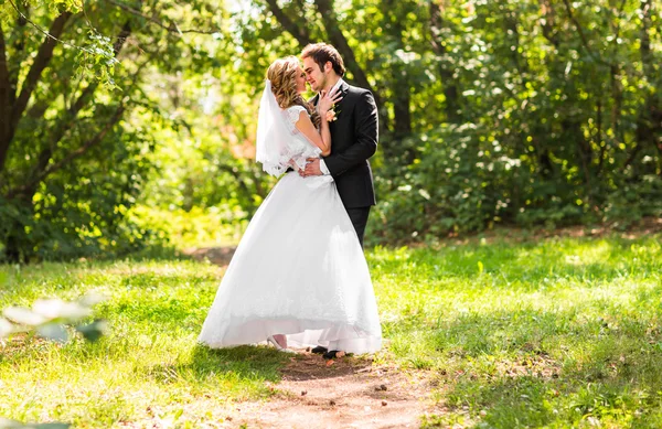 Beautiful wedding couple in park. They kiss and hug each other — Stock Photo, Image