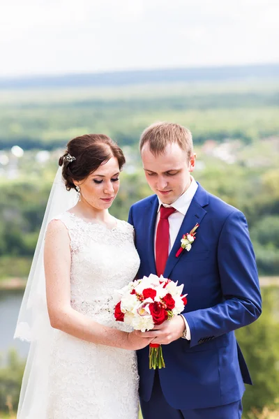 Noiva feliz bonita elegante e noivo, celebrações de casamento — Fotografia de Stock