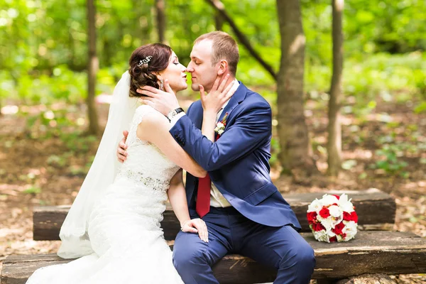 Noiva feliz bonita elegante e noivo, celebrações de casamento — Fotografia de Stock