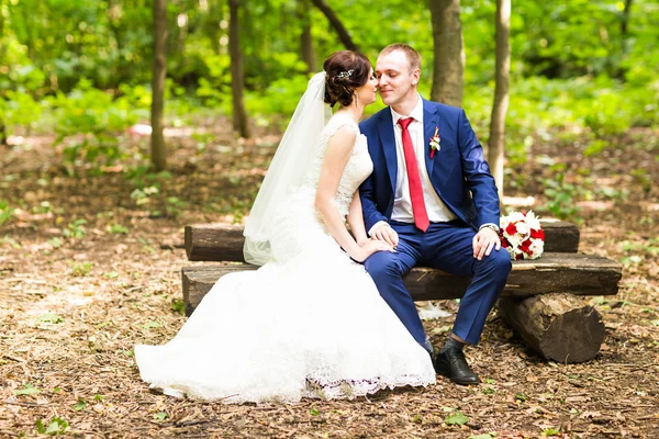 Stílusos, szép, boldog menyasszony és a vőlegény, esküvői rendezvények — Stock Fotó