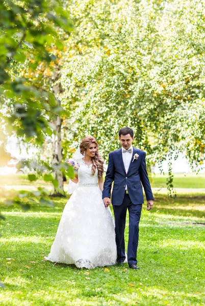 Svatební pár drží za ruce venku — Stock fotografie