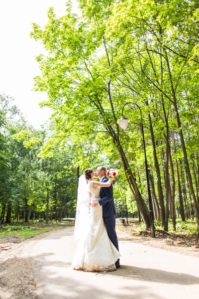 Noiva e noivo tendo um momento romântico em seu dia do casamento — Fotografia de Stock