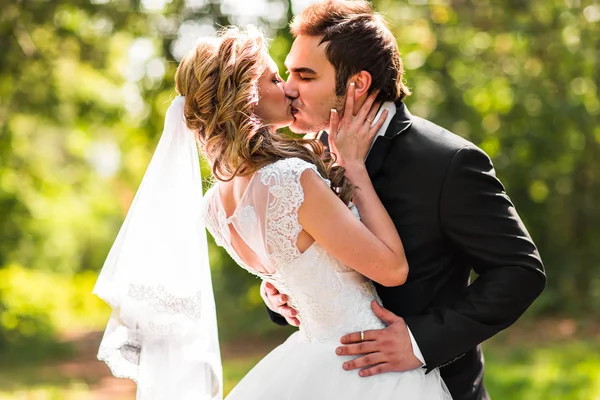 Para piękny ślub w parku. pocałunek i przytulić — Zdjęcie stockowe
