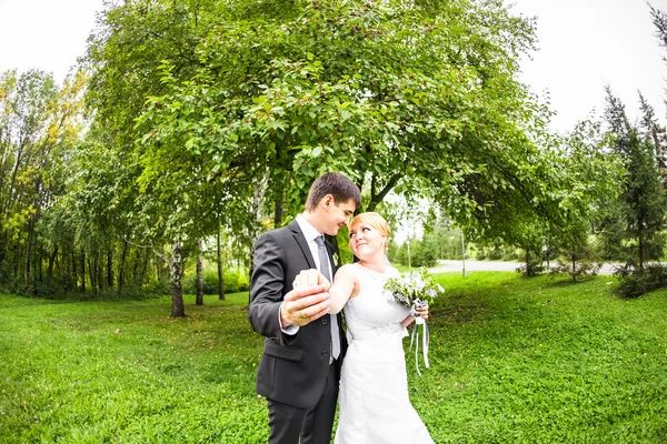 Beautiful wedding couple outdoors. They kiss and hug each other — Stock Photo, Image