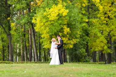 Öpüşme ve açık havada kucaklayan güzel romantik Düğün çifti