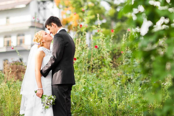 Vackra bröllop par utomhus. De kiss och krama varandra — Stockfoto
