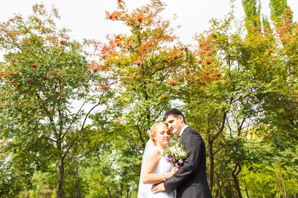 Beau couple de mariage à l'extérieur. Ils s'embrassent et s'embrassent — Photo