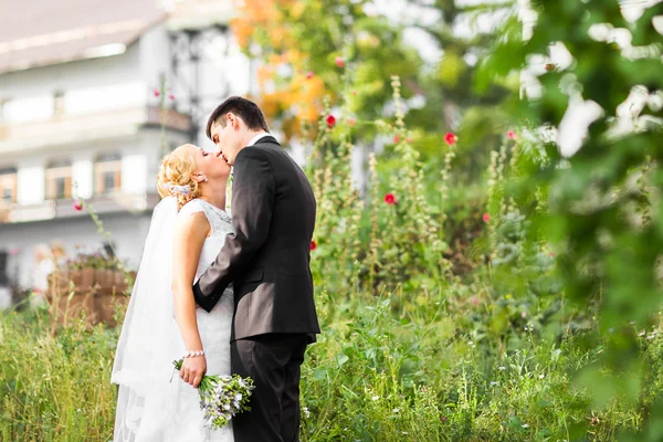 Hermosa boda romántica pareja besos y abrazos al aire libre —  Fotos de Stock