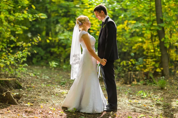Bride and groom holding hands outdoors — Stock Photo, Image