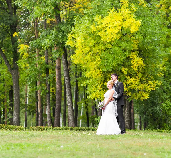 Schönes romantisches Hochzeitspaar küsst und umarmt sich im Freien — Stockfoto