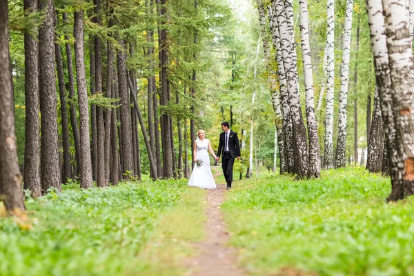 Sposa e sposo che si tengono per mano all'aperto — Foto Stock