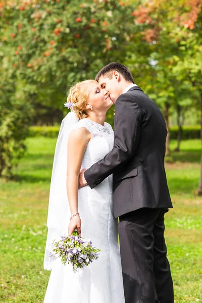 Schönes romantisches Hochzeitspaar küsst und umarmt sich im Freien — Stockfoto