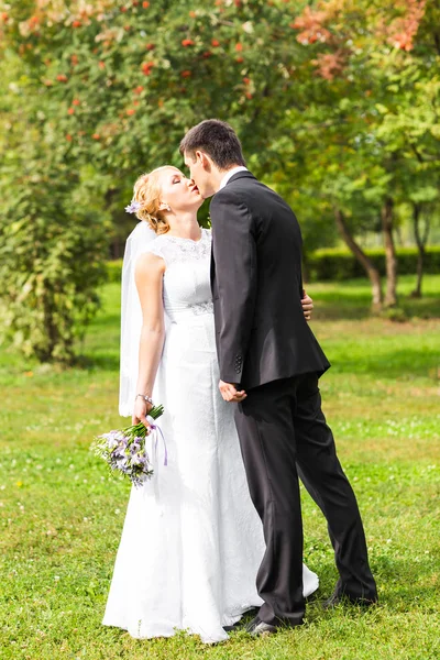 Beau couple de mariage à l'extérieur. Ils s'embrassent et s'embrassent — Photo